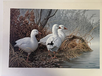 Goose Print
